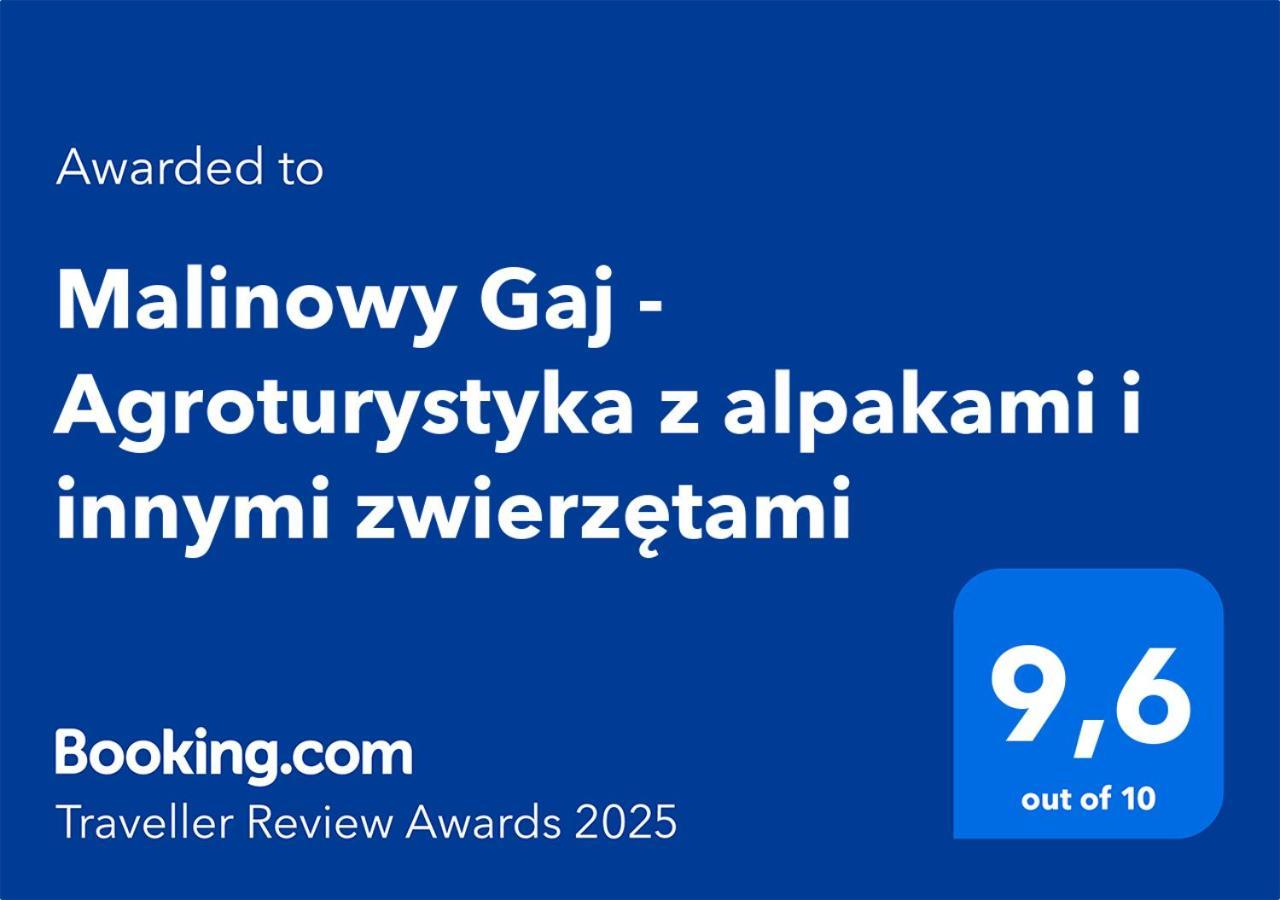 Malinowy Gaj - Agroturystyka Z Alpakami I Innymi Zwierzetami Swietajno  Exterior photo